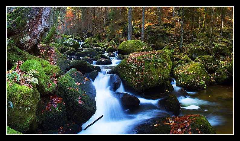 Triberg #3