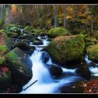 Triberg #3