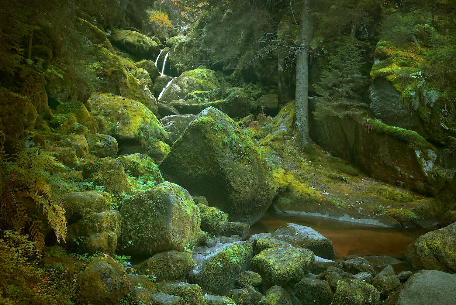 Triberg