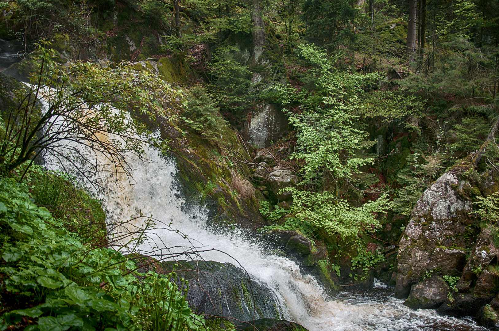 Triberg 