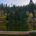 Triberg: Bergsee zwei