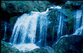 TRIBERG - Schwarzwald