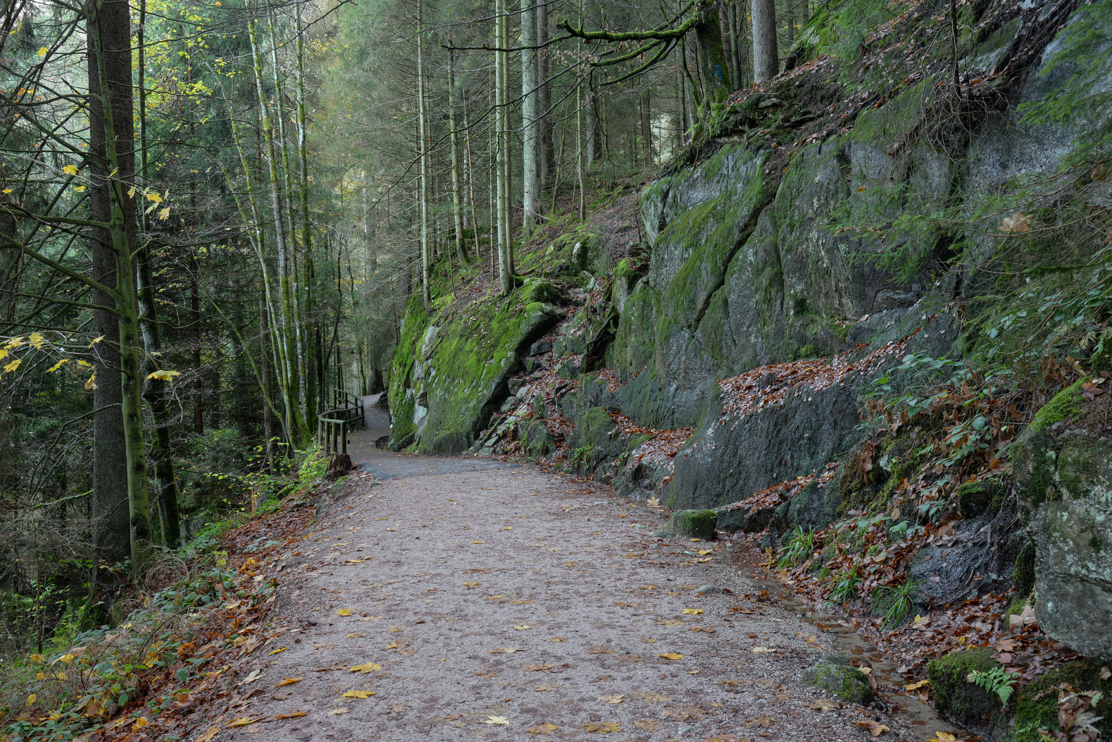 Triberg: Wanderweg zum Wasserfall