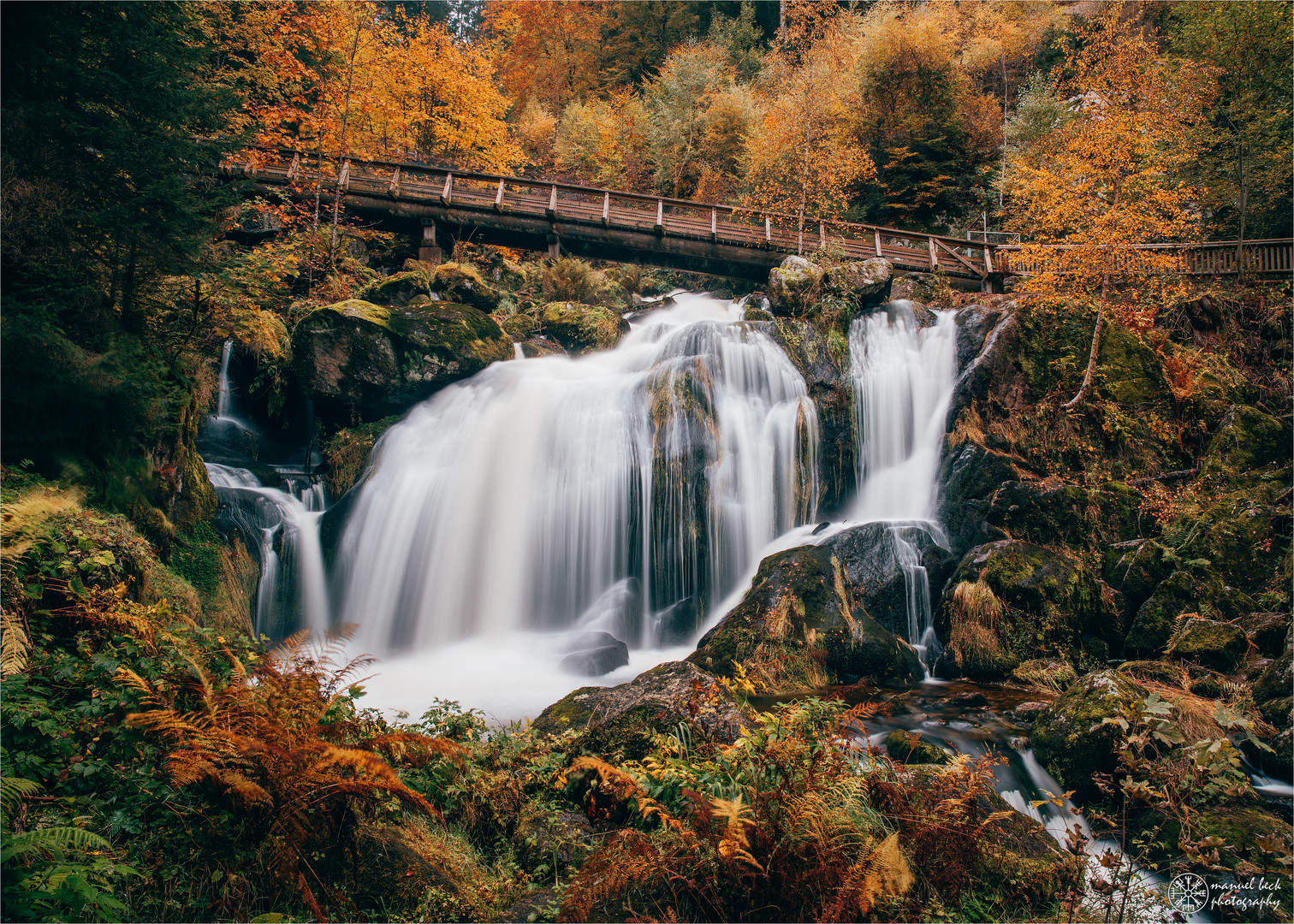 triberger herbst