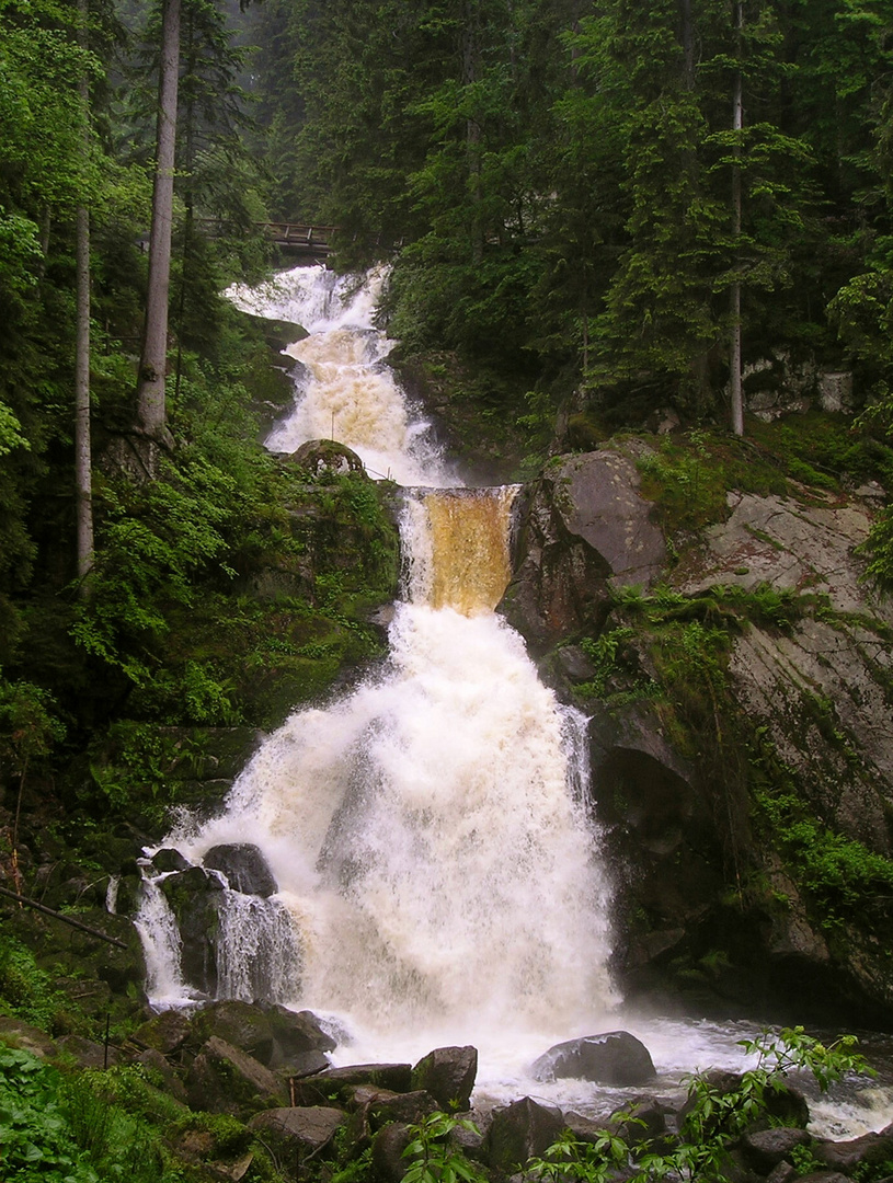 Triberger Wasserfälle