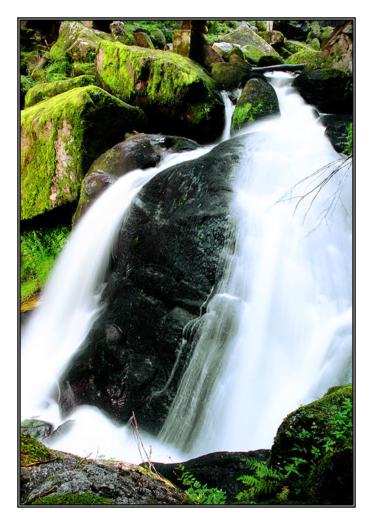 Triberger Wasserfälle #2