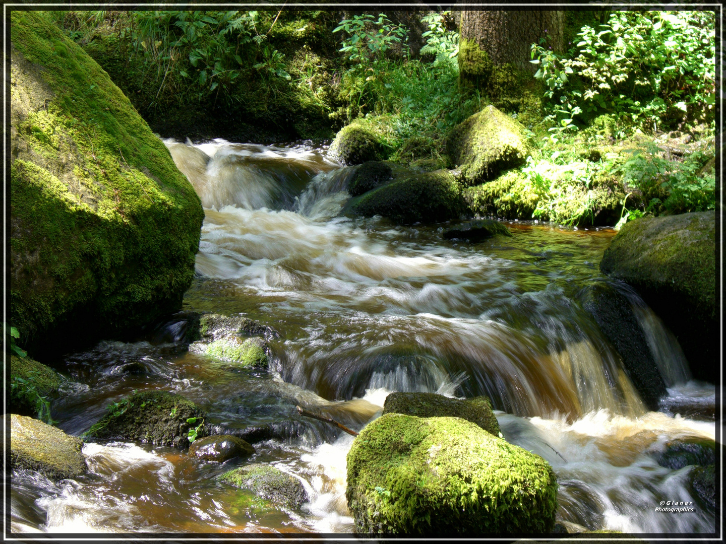 Triberger Wasserfälle / 2