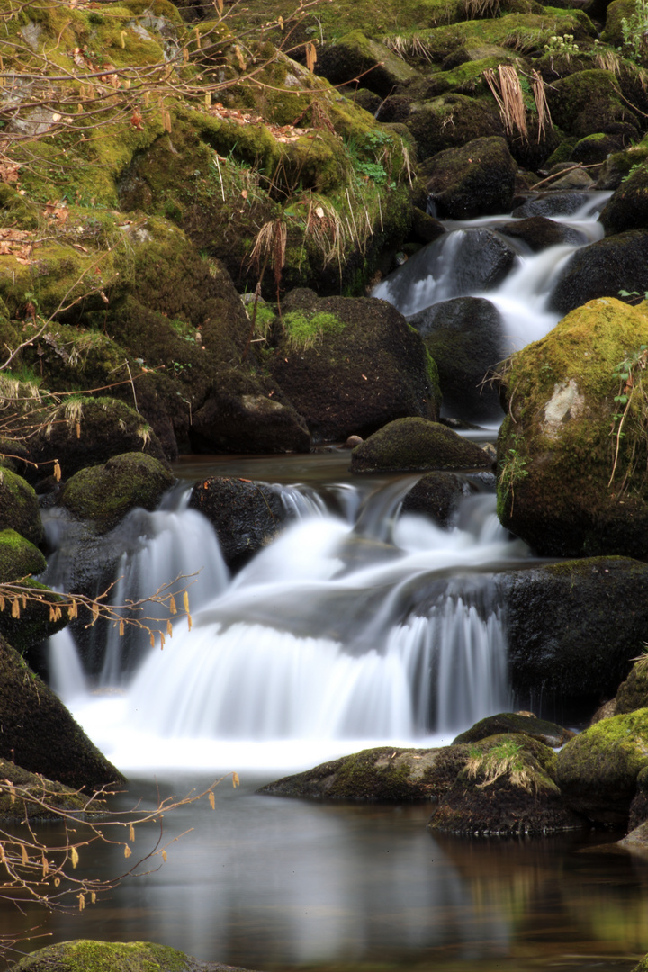 Triberger Wasserfälle (2)