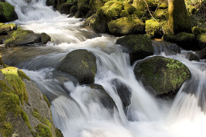 Triberger Wasserfälle 3