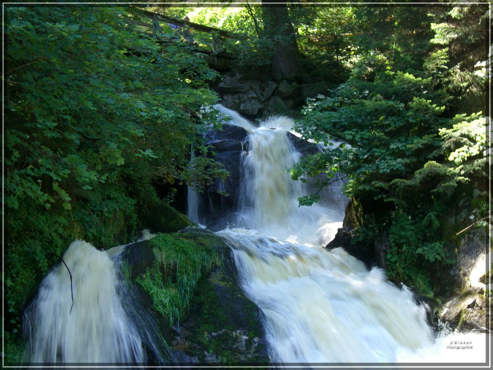 Triberger Wasserfälle / 4
