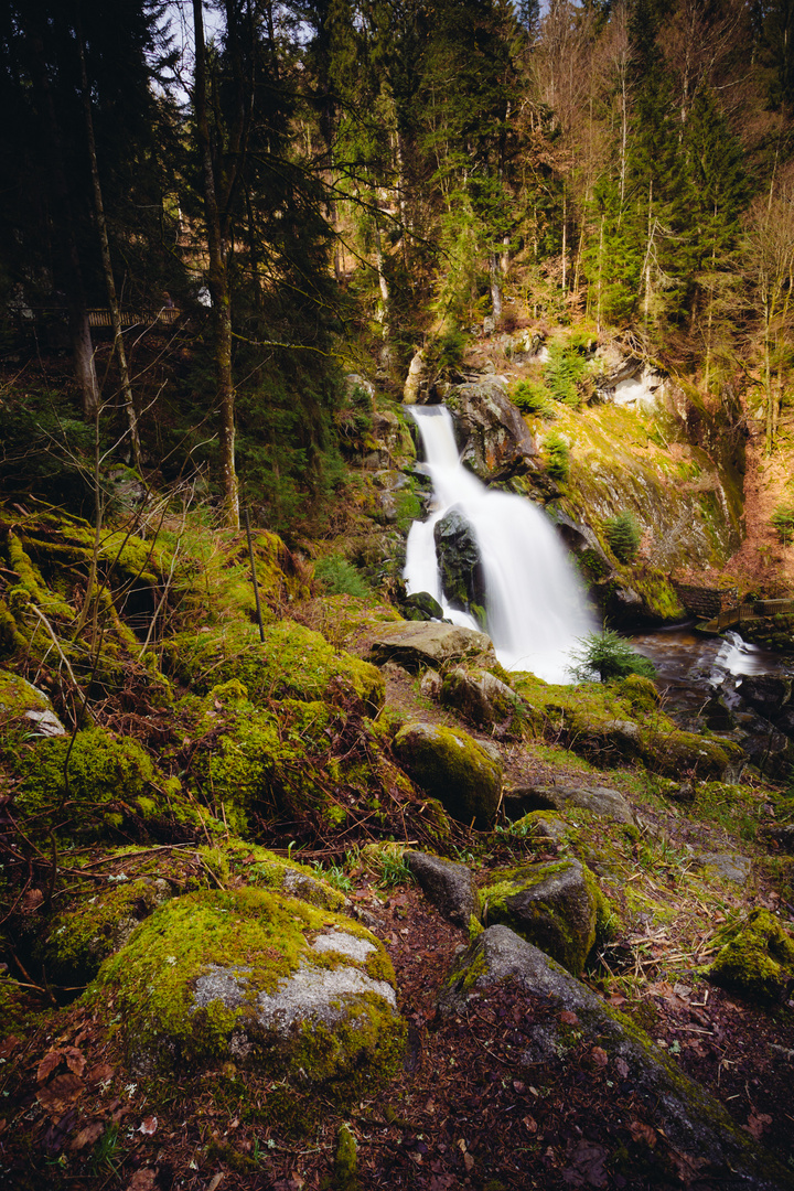 Triberger Wasserfälle