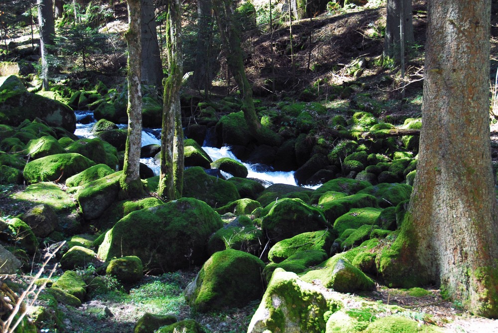 Triberger Wasserfälle