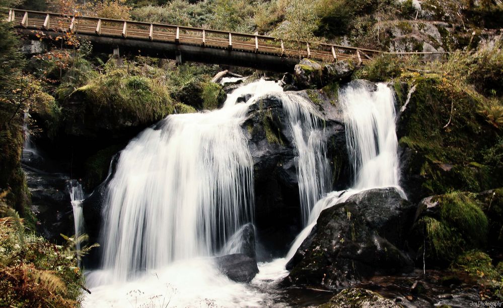 Triberger Wasserfälle Foto & Bild archiv, a r c h i v aktuell, wasser Bilder auf