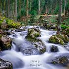 Triberger Wasserfälle, Deutschland