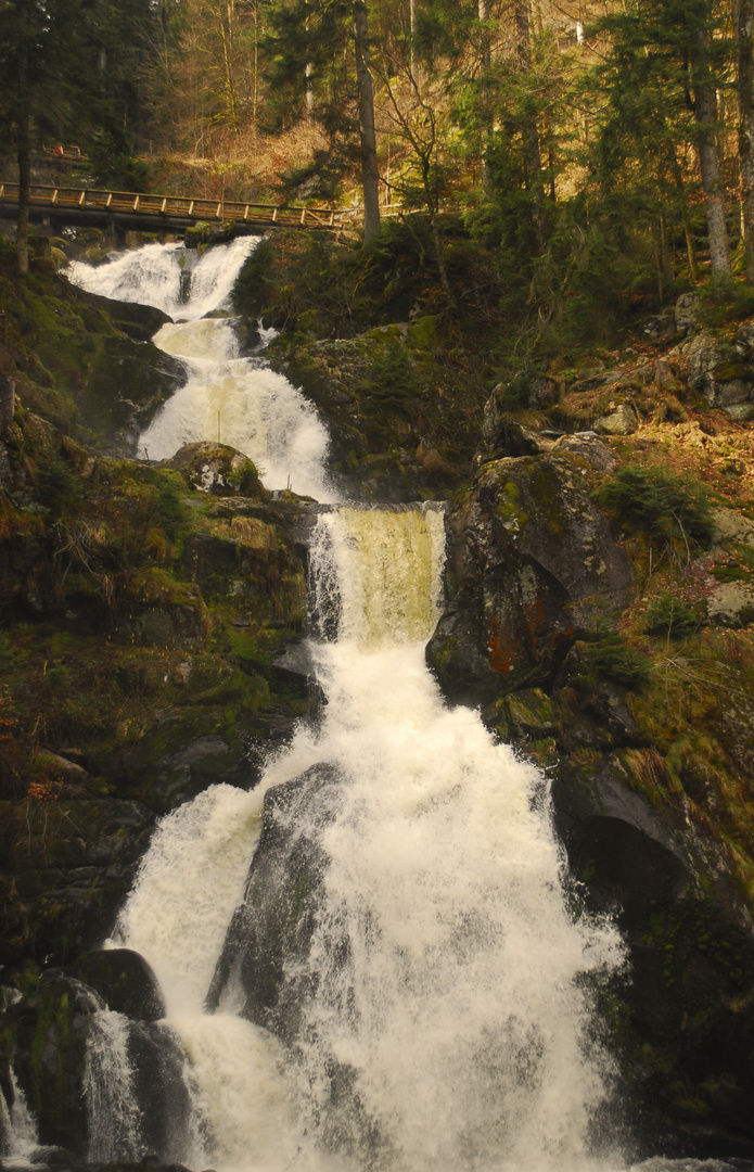 Triberger Wasserfälle