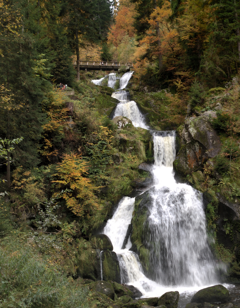 Triberger Wasserfälle Foto & Bild deutschland, europe, baden württemberg Bilder auf