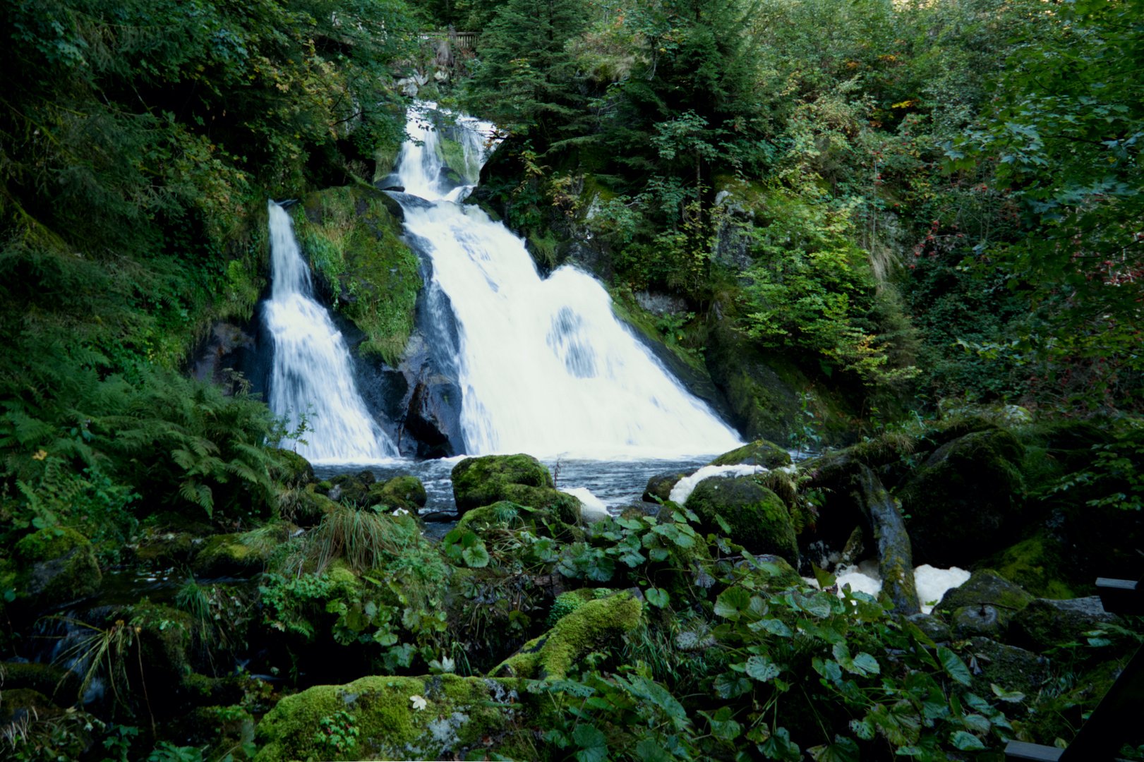 Triberger Wasserfälle