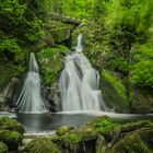 Triberger Wasserfälle, Schwarzwald