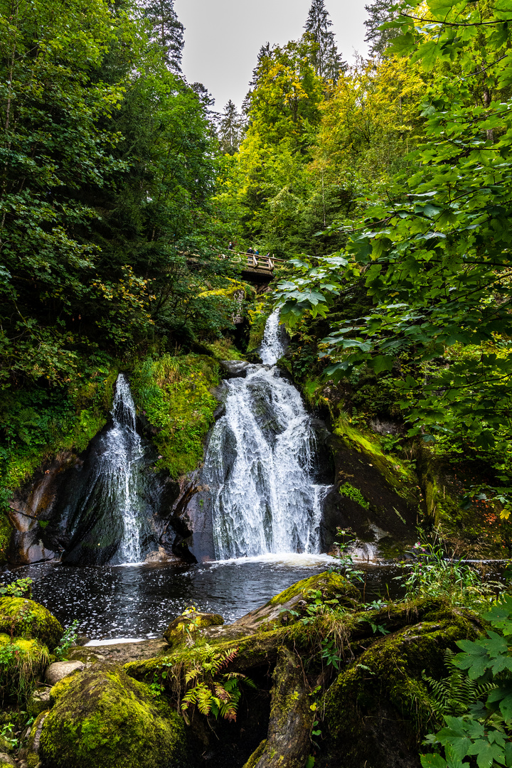 Triberger Wasserfälle, Schwarzwald