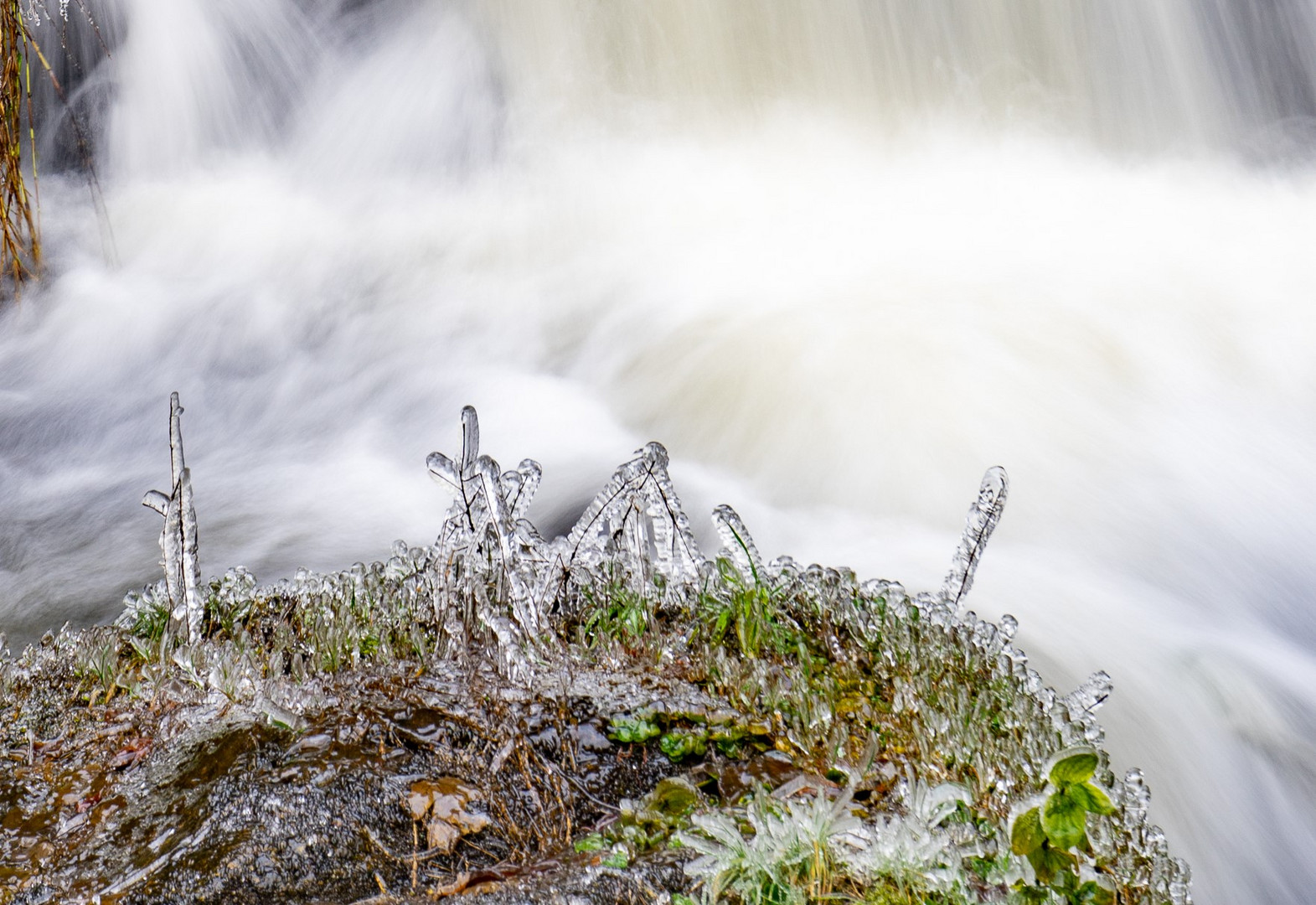 Triberger Wasserfall