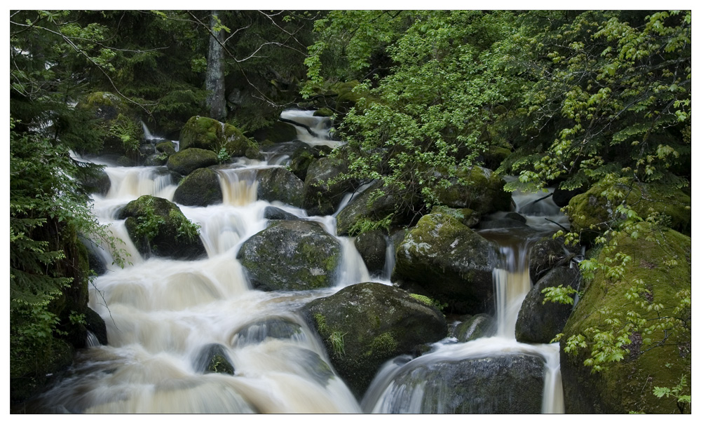 Triberger Wasserfall #2