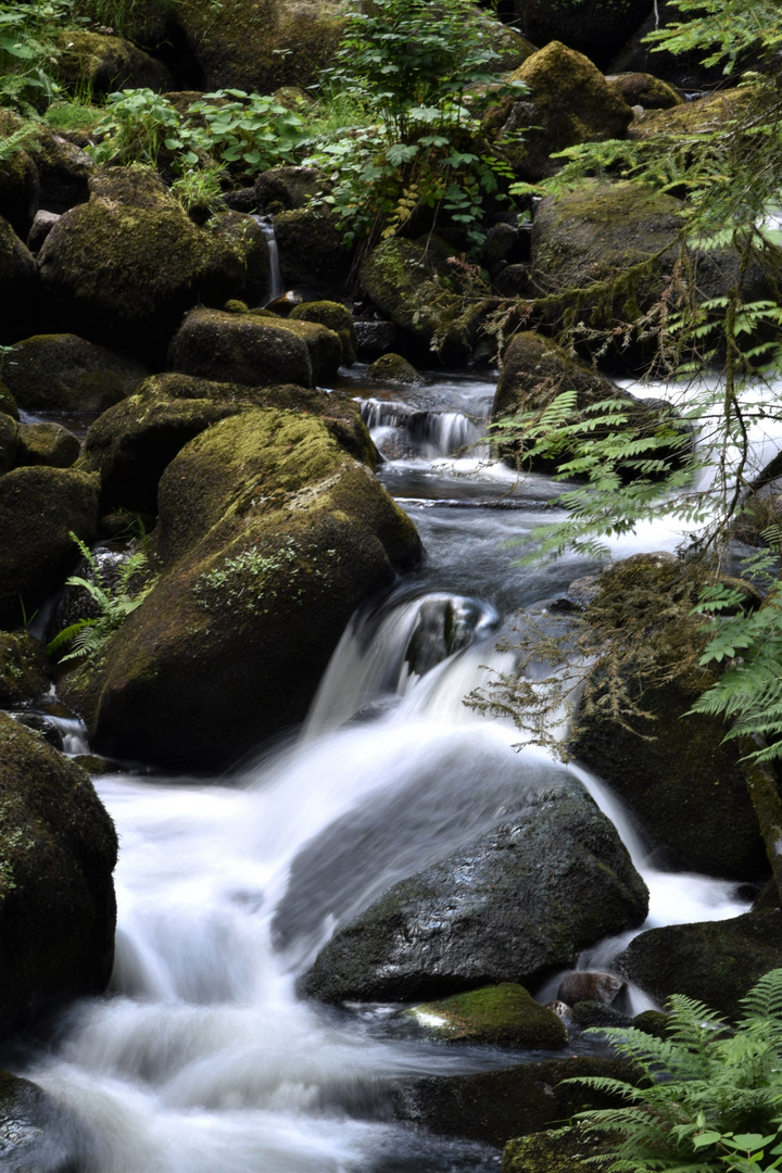 Triberger Wasserfall