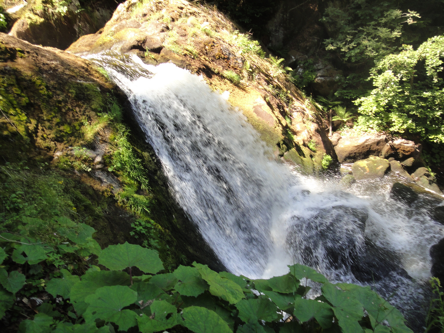 Triberger Wasserfall