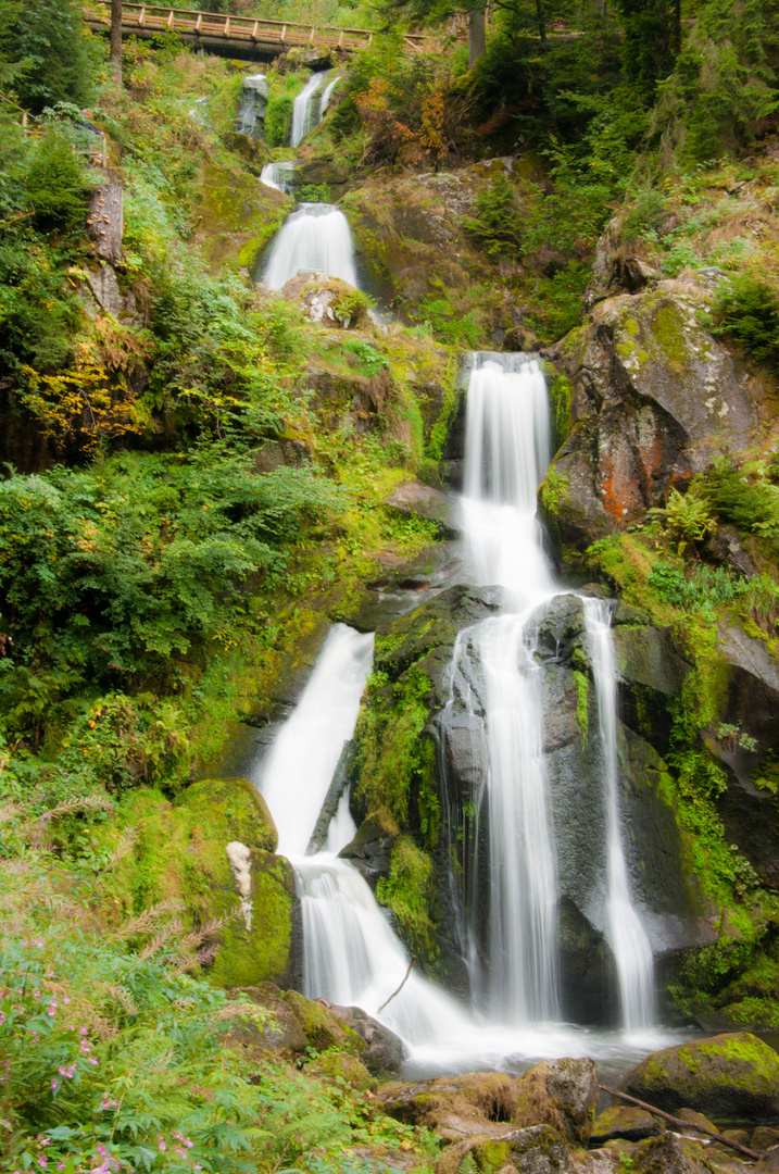 Triberger Wasserfall