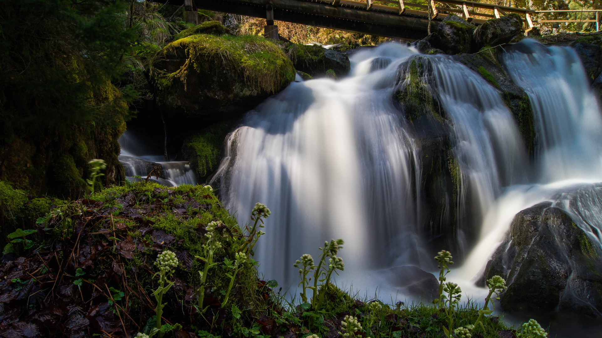 Triberger Wasserfall