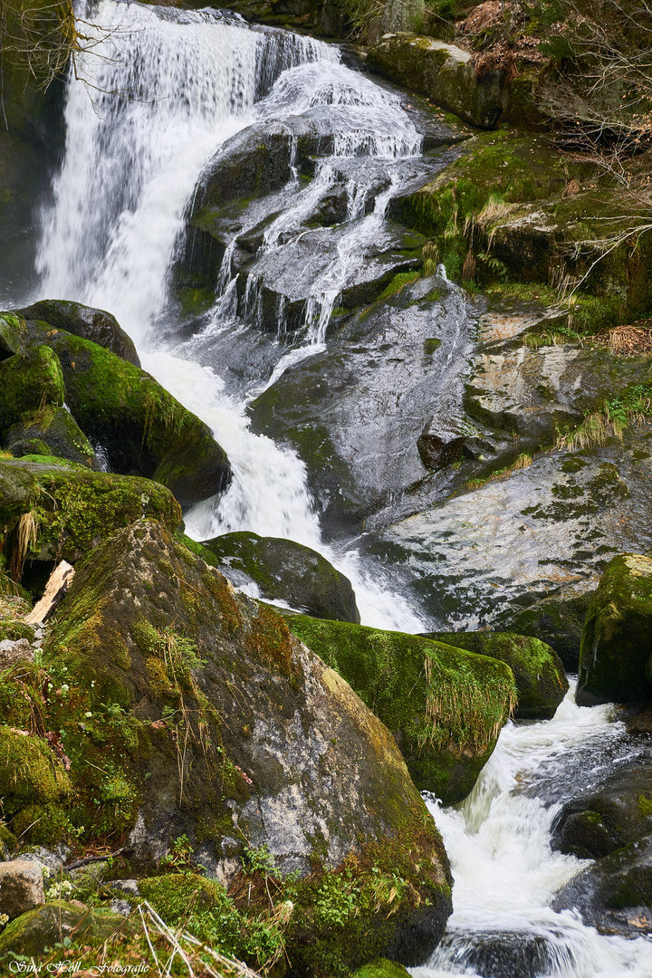 Triberger Wasserfall