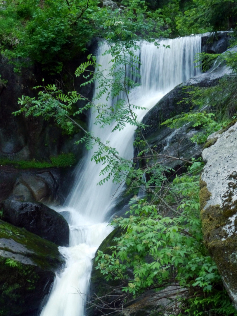 Triberger Wasserfall (Deutschlands größter Wasserfall)