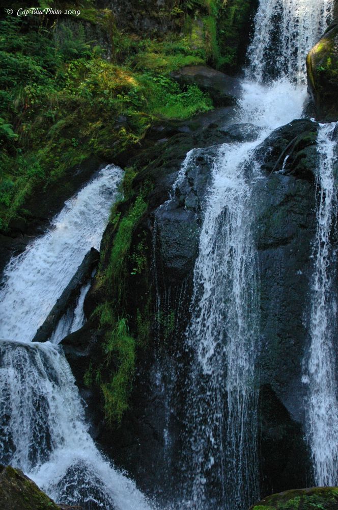 Triberger Wasserfall einzigartig in Deutschland