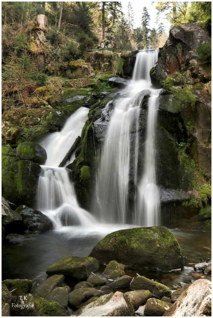 Triberger Wasserfall im Frühling