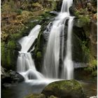 Triberger Wasserfall im Frühling