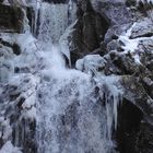Triberger Wasserfall Jan.09
