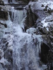 Triberger Wasserfall Jan.09