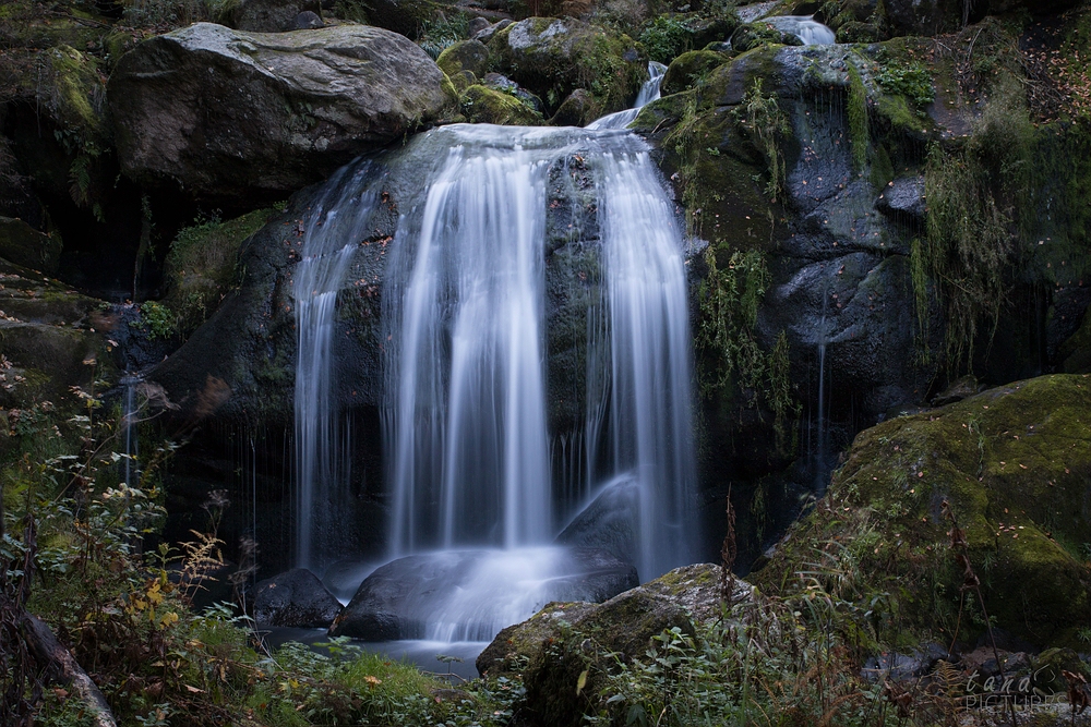 Triberger Wasserfall Nr. 2