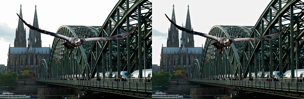 Tribut an Köln und die Photokina für Parallelblick