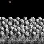 Tribut to Misha Gordin