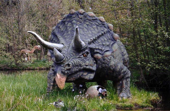 Triceratops