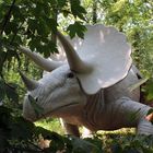 Triceratops durch die Büsche gesehen