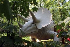 Triceratops durch die Büsche gesehen