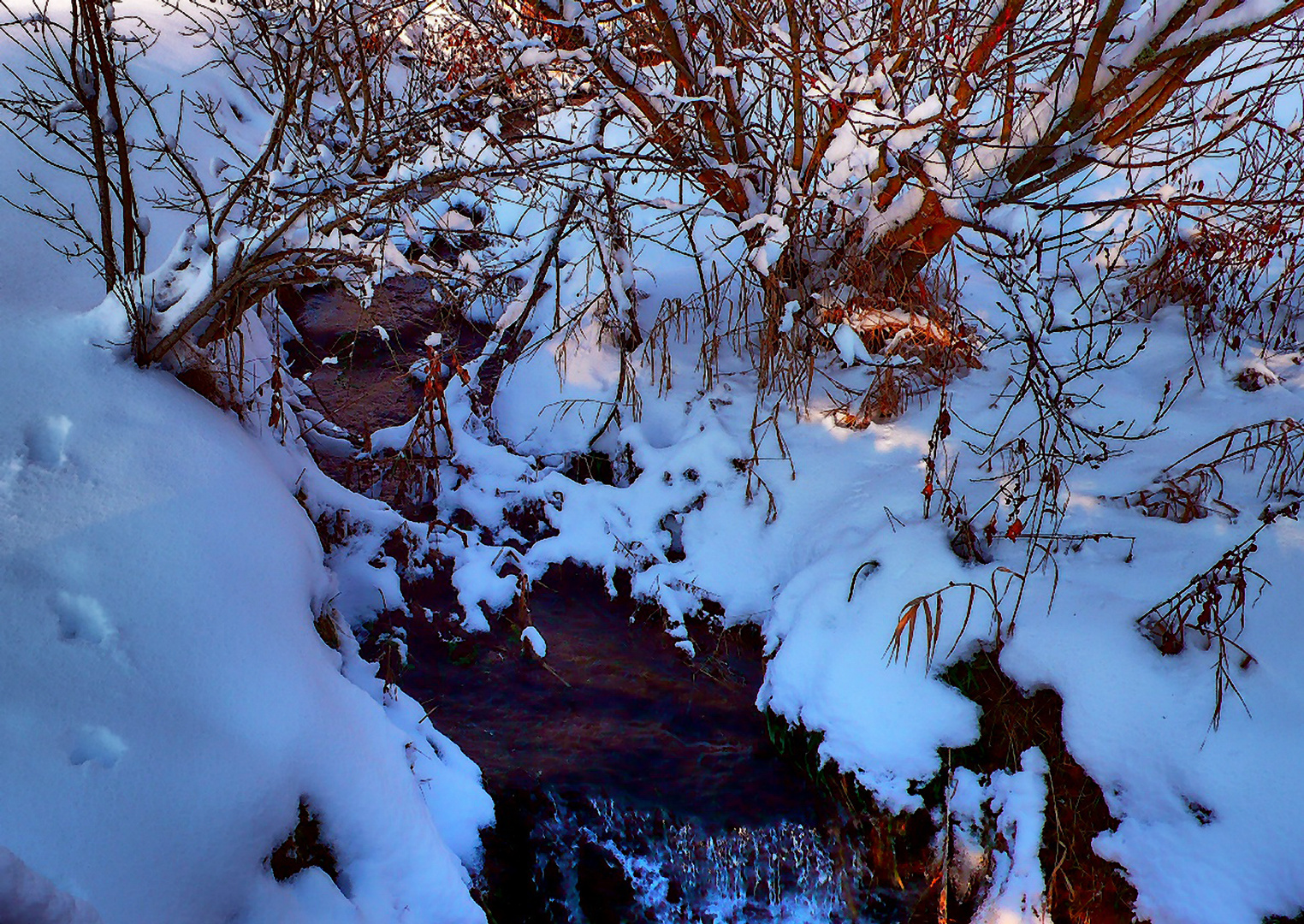 Trickle in the snow