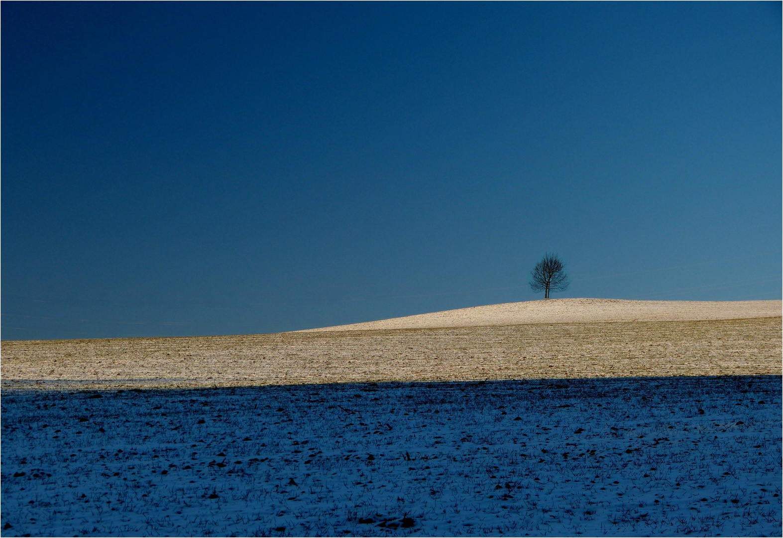 Tricolore