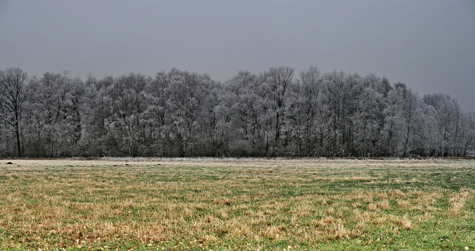 Tricolore im Dezember