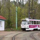 Triebwagen 51 in Liberec