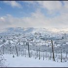 Trier im Schnee