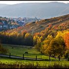 Trier in Herbst