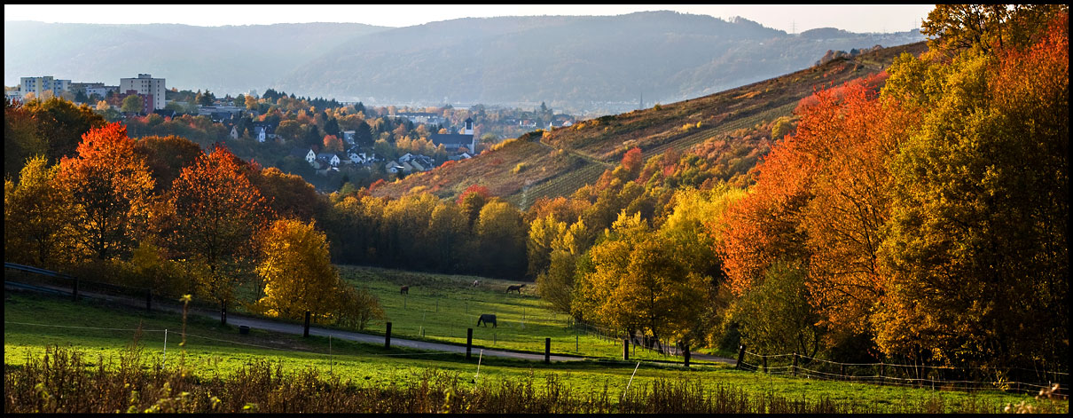 Trier in Herbst