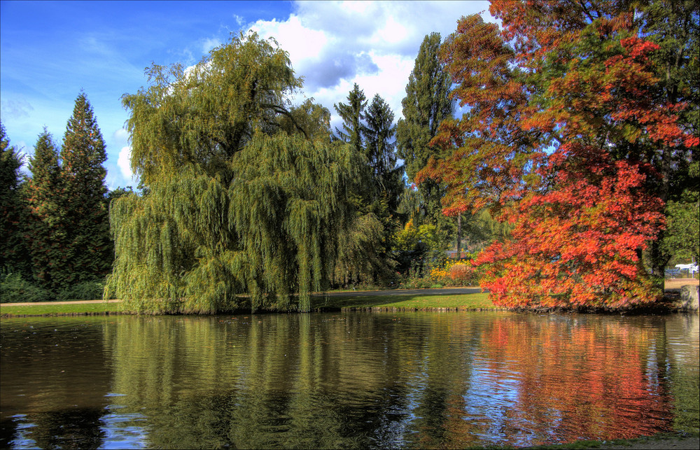 Trier - Nells Park